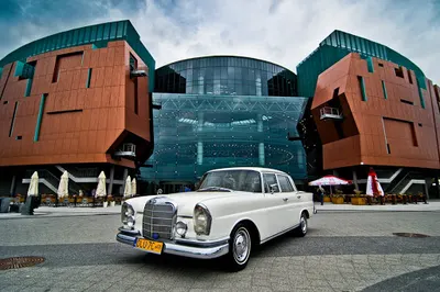 Rzeczoznawca Samochodowy Zielona Góra | Marek Polniak